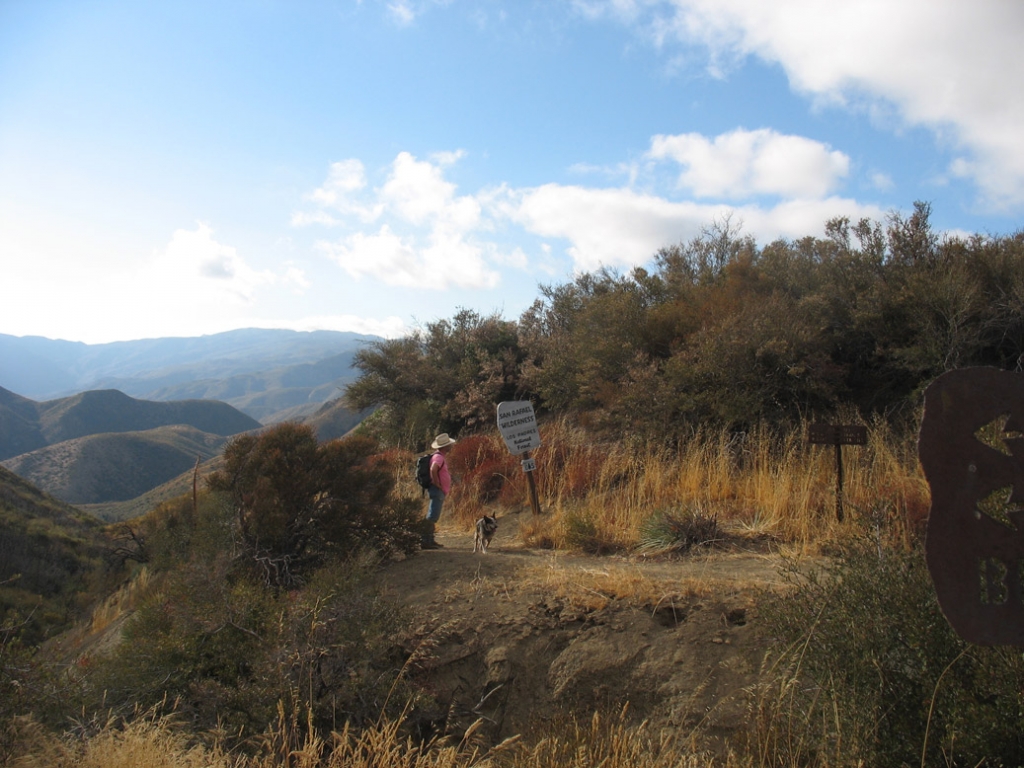 Los Padres Forest Association